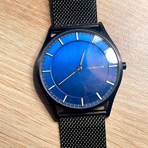 Skagen blue & grey watch.